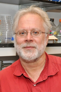 Rene Hen, PhD Profile Headshot